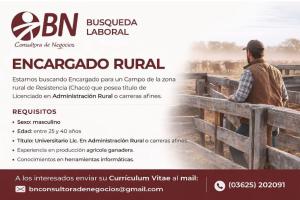 Empleos Sin datos  Empleos